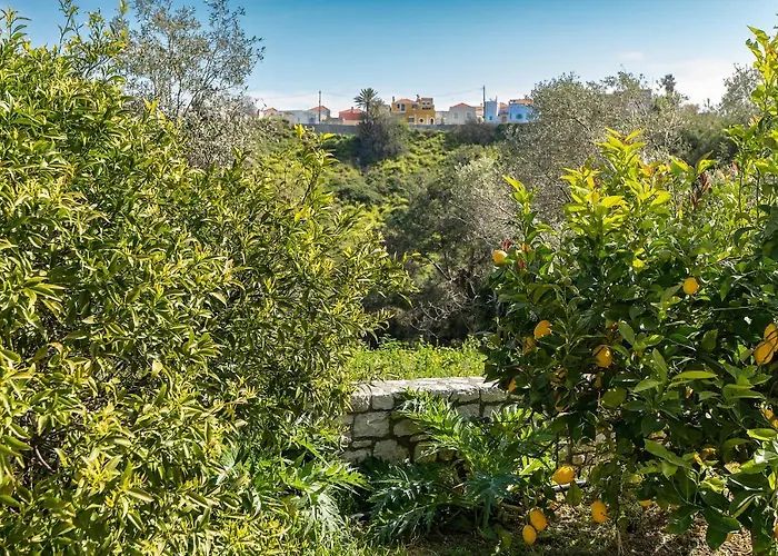 Case de vacanță Rafaela's House *